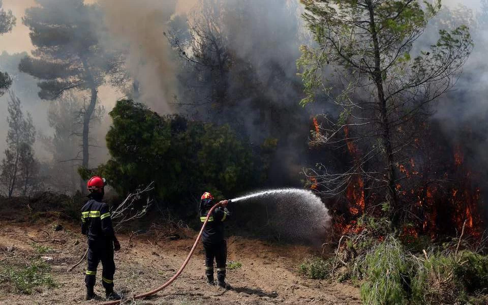 Καλάβρυτα: Πυρκαγιά ξέσπασε σε δασική έκταση